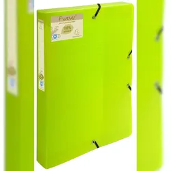 Exacompta 553573E 8x Forever PP, Archivbox mit Gummizug A4, Rücken 40mm - Anisgrün