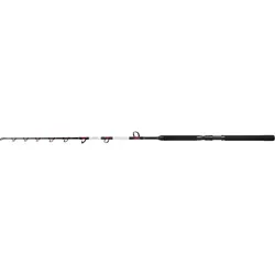 Shimano, Angelrute, (165 cm)