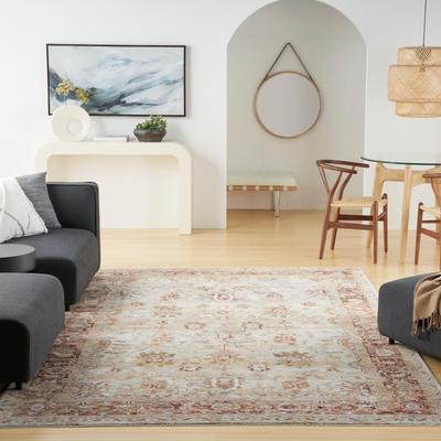 Nourison Petra Traditional Persian Medallion Border Area Rug