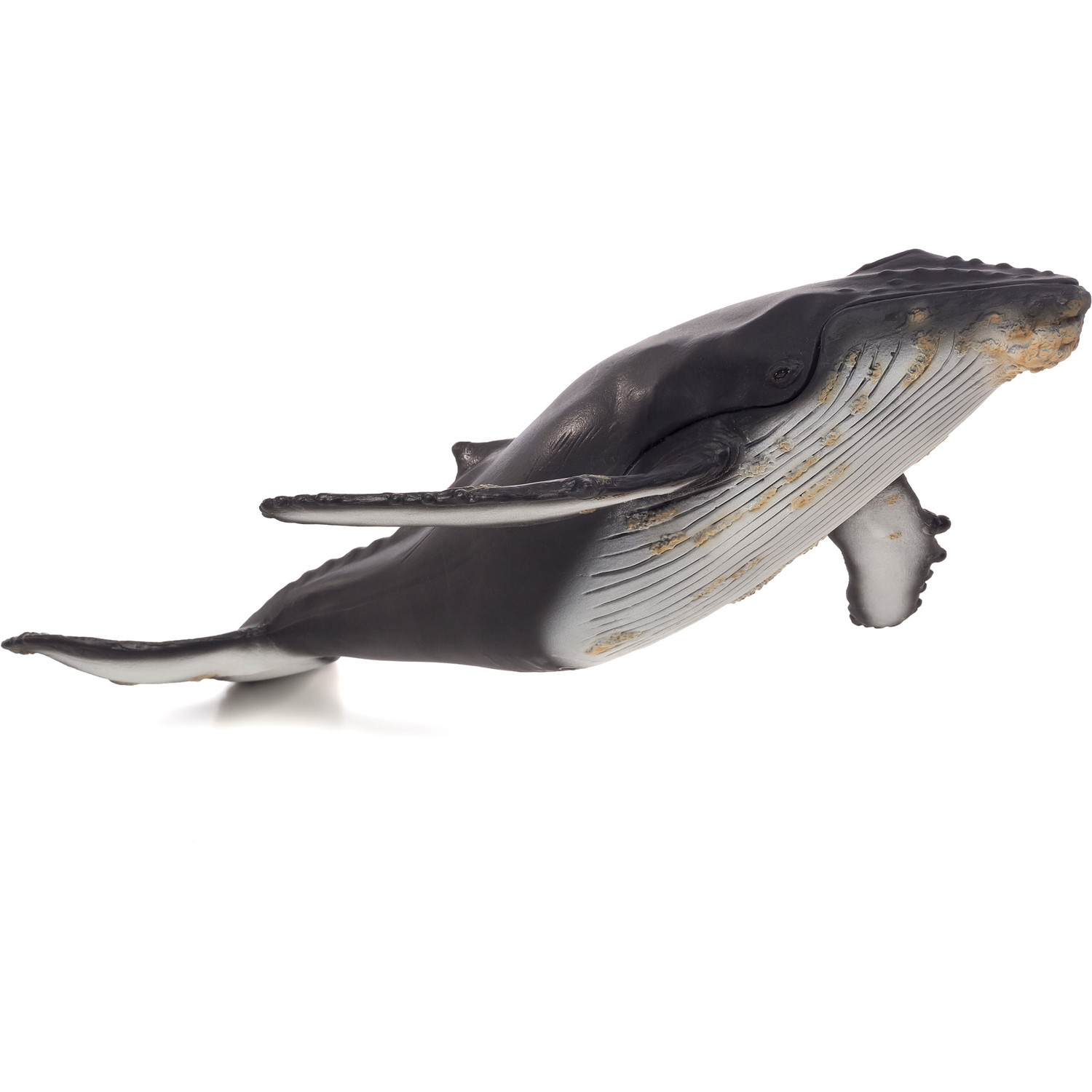 Mojo Fun Bultrugwalvis SEALIFE, grijs en wit, groot formaat