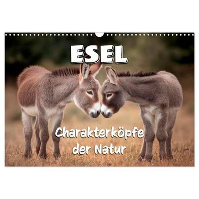 Esel - Charakterköpfe der Natur (Wandkalender 2027 DIN A3 quer), CALVENDO Monatskalender