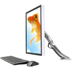 Ergotron MX Monitor-Arm (Tisch, 30", 13.60 kg), Monitor Halterung, Silber