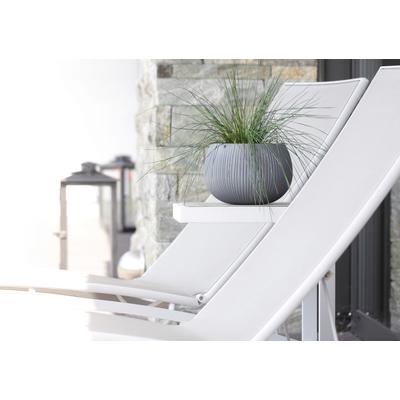 Blumentopf PROSPERPLAST "Beton Bowl", grau (beton), Kunststoff, Pflanzgefäße, Ø29cm x 19,5cm