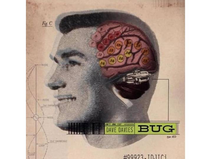 Bug
