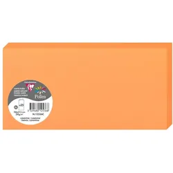 Pollen 250x Doppelkarte DL Pollen 210g - Clementine 12536C