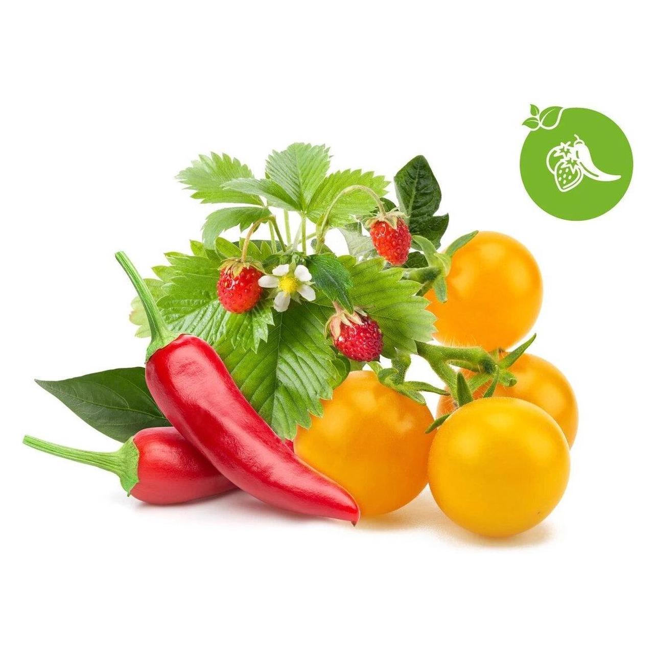 Click and Grow Intelligente Fruchtmischung (Früchtesamen, Gemüsesamen) (PPMFVX9)