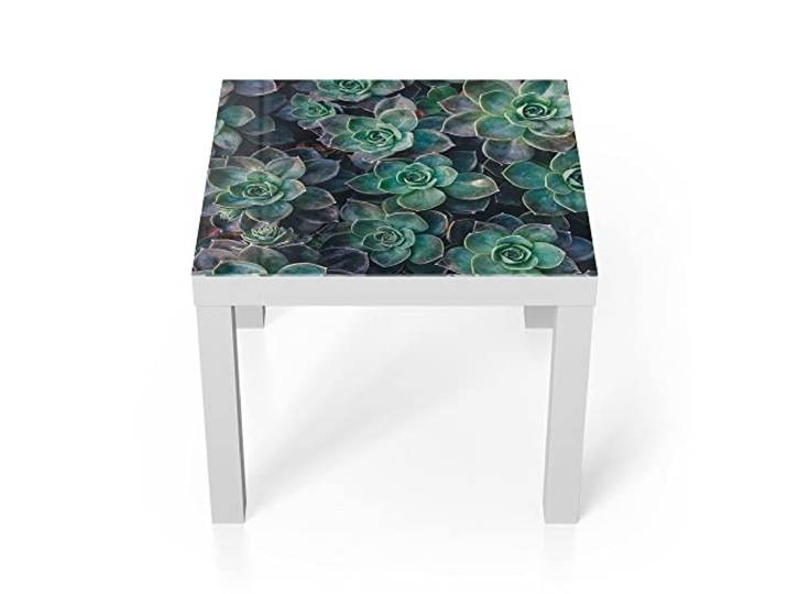 DEQORI Glastisch weiß klein 55x55 cm Motiv Sukkulente Pflanzen ausgefallener Beistelltisch aus Glas Hochglanz Couchtisch fürs Wohnzimmer moderner Couch Tisch mit Design