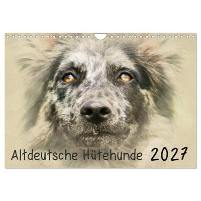 Altdeutsche Hütehunde 2027 (Wandkalender 2027 DIN A4 quer), CALVENDO Monatskalender