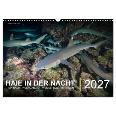 Haie in der Nacht (Wandkalender 2027 DIN A3 quer), CALVENDO Monatskalender