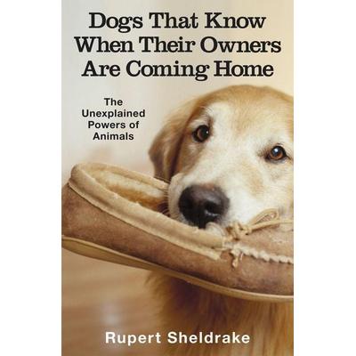Dogs That Know When Their Owners Are Coming Home, Taschenbuch von Rupert Sheldrake, KNV Besorgung