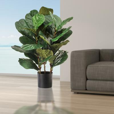 Regency International "Potted Triple Mature Fiddle Leaf Plant 32"""