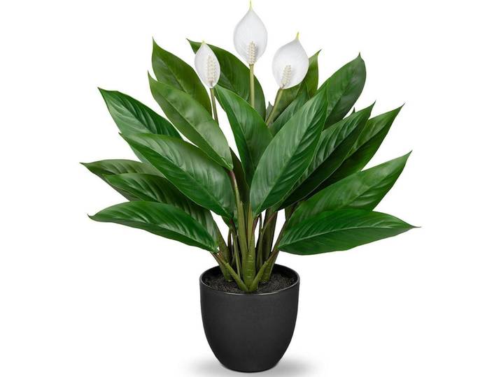 Kunstpflanze Calathea Buschig mit 22 Blättern 43 cm Grün, Kunststoff, 36 cm, Dekoration, Blumen & Blumentöpfe, Kunstpflanzen