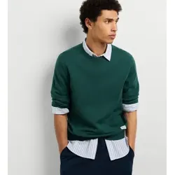Pepe Jeans für Herren. PM7000106 Grüner André-Pullover mit Rundhalsausschnitt (L), Lässig, Baumwolle