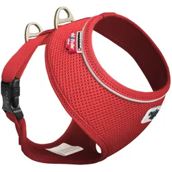 Curli basic sele Air-Mesh rød M (M, Hund, Allgemein), Halsband + Leine