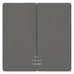Siemens Delta Line Wippe mit Fenster für Serien/Doppel-Wechselschalter (carbonmetallic)