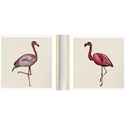 POSTER Set Mit 2 Flamingos Tiere 20X20cm Rahmenlos