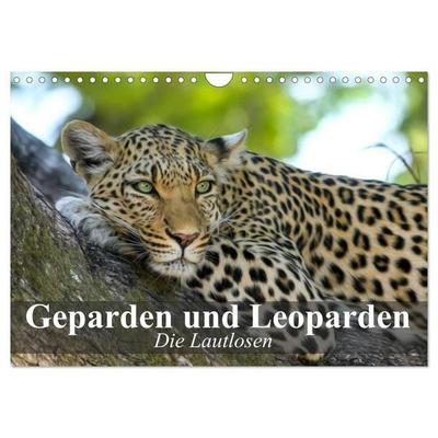Die Lautlosen. Geparden und Leoparden (Wandkalender 2027 DIN A4 quer), CALVENDO Monatskalender