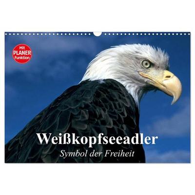 Weißkopfseeadler. Symbol der Freiheit (Wandkalender 2026 DIN A3 quer), CALVENDO Monatskalender