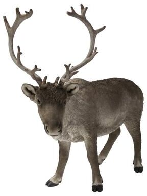 Hi-Line Gift Reindeer Standing
