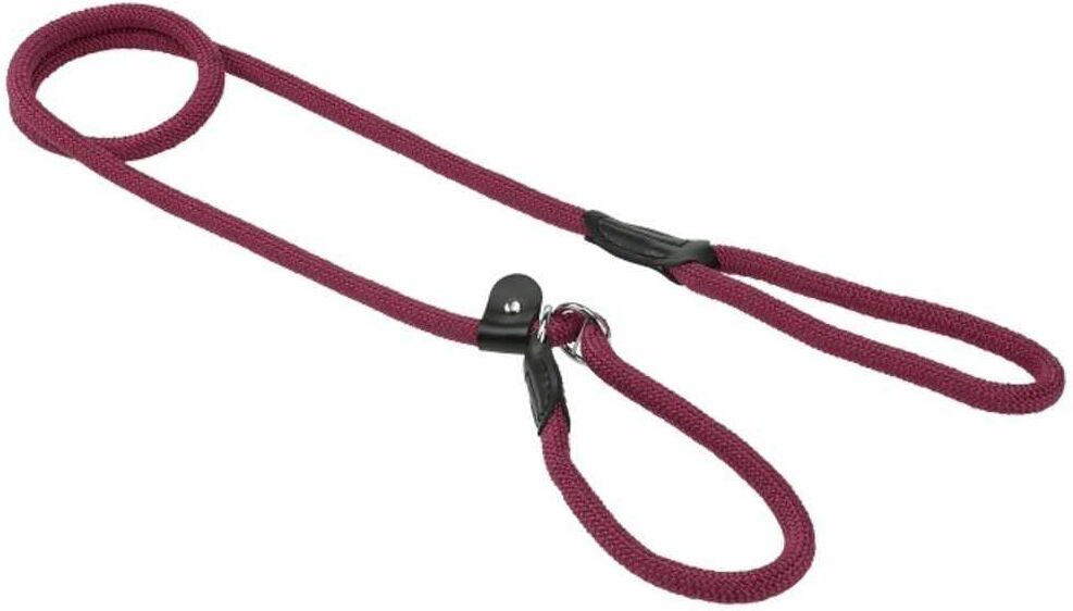AniOne Guinzaglio Retriever Activity 1.7M ROSA
