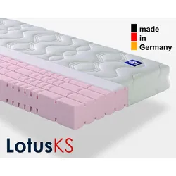 Badenia »Irisette Lotus« Komfortschaum-Matratzen 200x200 cm H3
