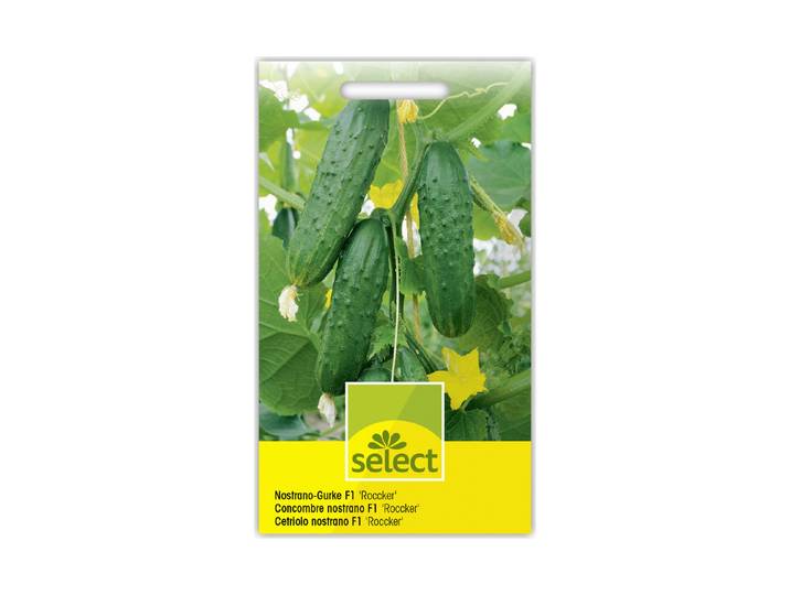 Select Nostrano-Gurke Roccker