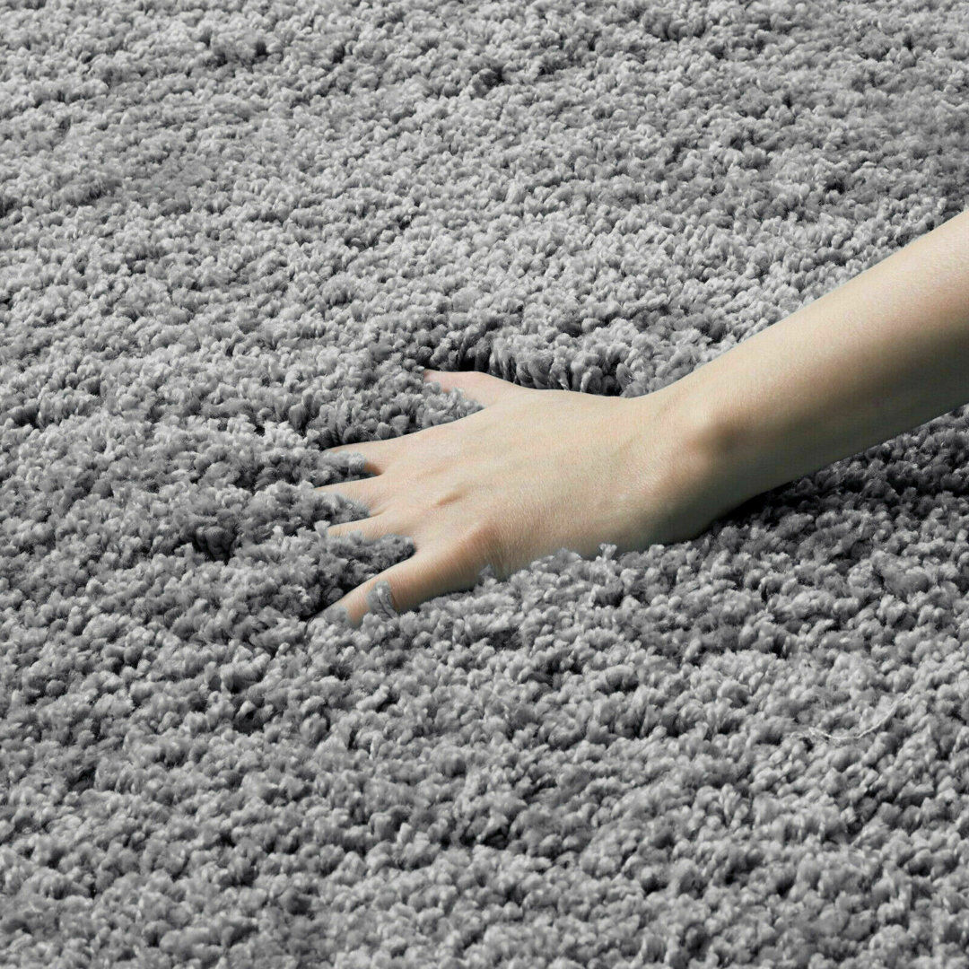 Ebern Designs Elodea Shag Gray Rectangle 120cm x 170cm