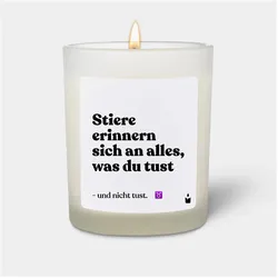 Chatty Candles, Duftkerzen, Duftkerze Woody Stiere erinnern sich an alles, was du tust - und nicht tust.