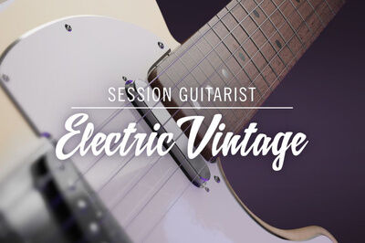 Native Instruments Sess. Guit. - Electric Vintage