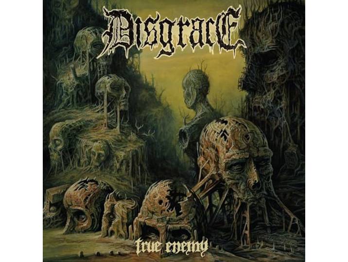 Disgrace - True Enemy