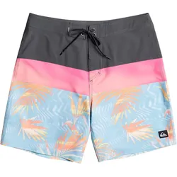 Quiksilver Surfsilk Panel 18 Boardshorts - grau
