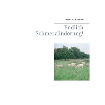 Endlich Schmerzlinderung!, Taschenbuch von Stefan Schramm, BoD – Books on Demand, 978-3-7504-3505-6