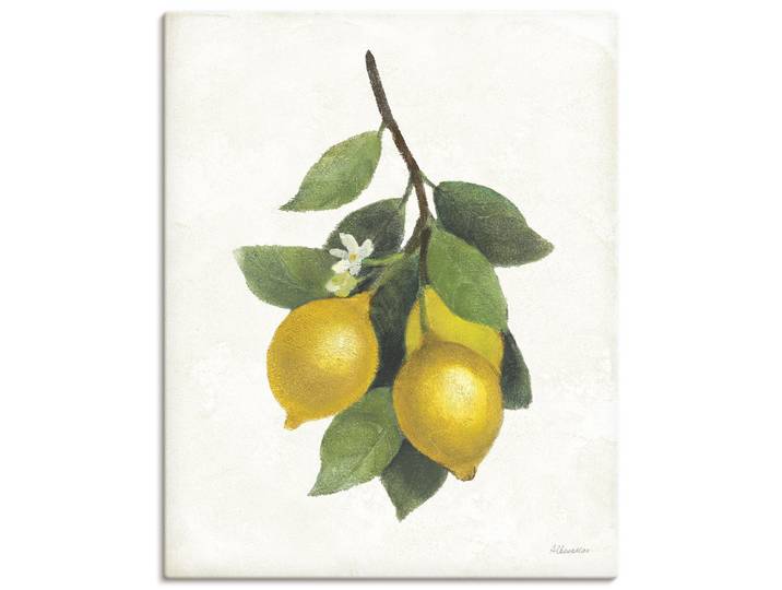 Artland Lemon Branch III Pflanzenbilder 1 Stk. tlg. als Alubild, Leinwandbild, Poster, Wandaufkleber in verschied. Grössen