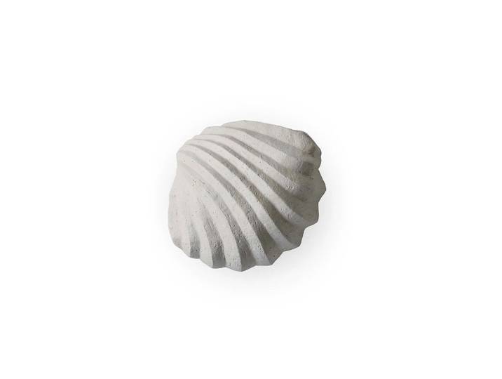Cooee Design Sculpture The Clam Shell 13 cm Limestone