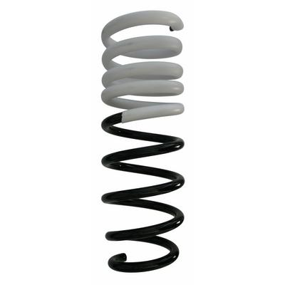 SPIDAN Fahrwerksfeder 87750 Hinterachse für BMW