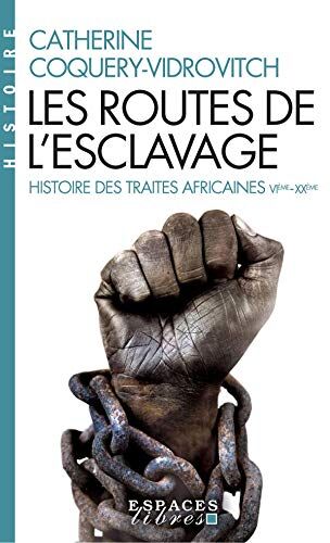 Les routes de l'esclavage : histoire des traites africaines, VIe-XXe siècle - Preis vom 09.10.2026 07:28:09 h