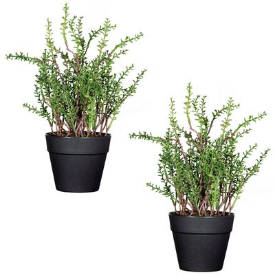 Kunstpflanze CREATIV GREEN "Zitronenthymian", grün, H:24cm, Kunststoff, Kunstpflanzen, Kunstpflanze, im 2er Set