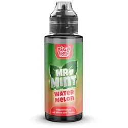 Big Bottle - Mr. Mint Watermelon Longfill Aroma