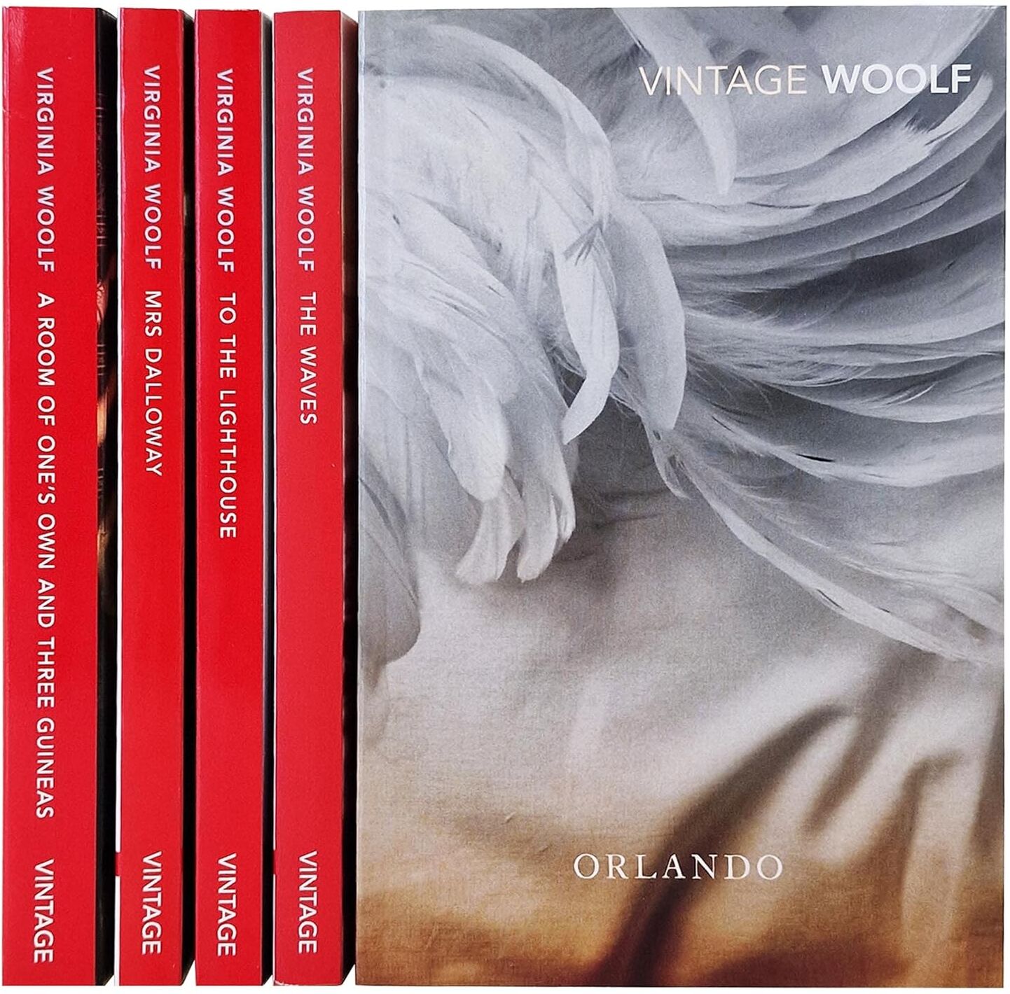 Arcturus Virginia Woolf 5 Book Box Set by Virginia Woolf – Mrs Dalloway, Orlando & Classic Collection