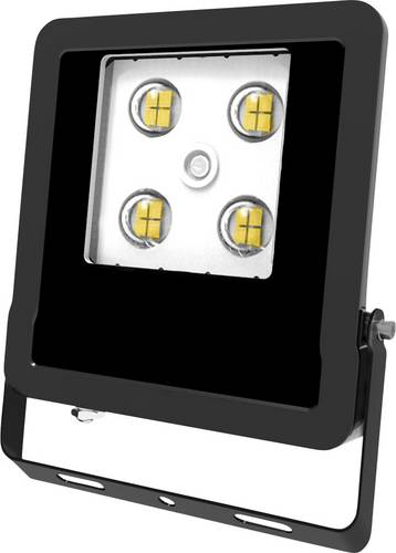 EVN LFE100940 LFE100940 LED-Flutlichtstrahler 10W Leuchtfarben: Neutralweiß