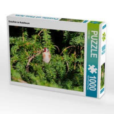 CALVENDO Puzzle Distelfink im Nadelbaum 1000 Teile Lege-Größe 64 x 48 cm Foto-Puzzle Bild von Anette Jäger