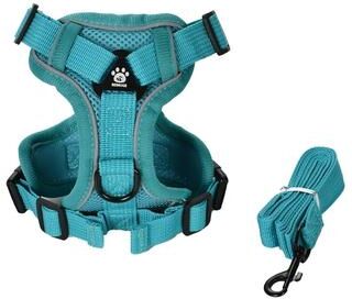 Uplifted Finds Reflective Air Mesh Mobility Hub turquoise l