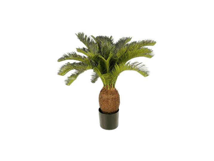 Lebensechte Kunstpflanze „Cycas Tuff“, verschiedene Grössen Grün Baq Design