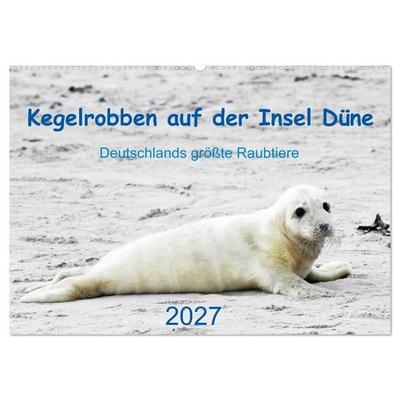 Kegelrobben auf der Insel Düne (Wandkalender 2027 DIN A2 quer), CALVENDO Monatskalender