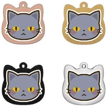Inspired Living Personalized Stainless Steel Cat ID Tag With Custom Engraving 8 silvery