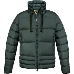 DOLOMITE Dolomite Damen Funktionsjacke W 76 FITZROY JACKET, Größe S in Grün Grün