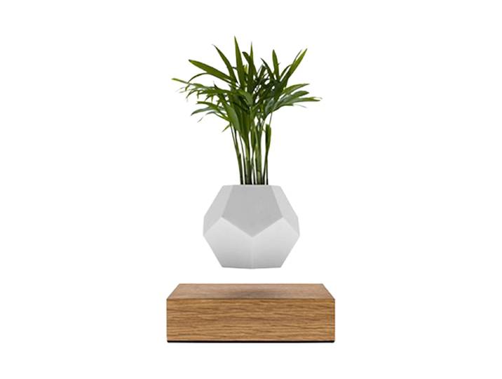 Schwebendes Design Objekt „LYFE Planter“ Eiche Natural FLYTE