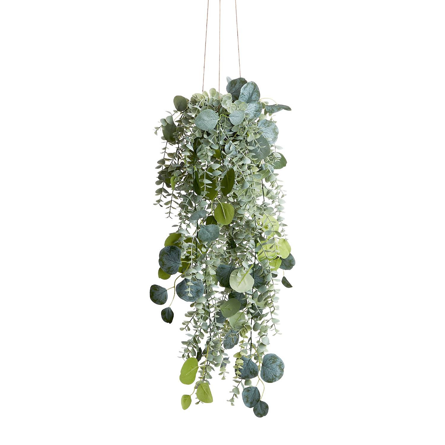 home24 Kunst-hangplant Eucalyptus, Groen, B/D/H: 11 x 11 x 65 cm