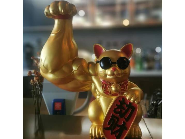 Gros bras chanceux chat vigoureusement de muscle bobber cat bureau décoration