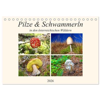 Pilze & Schwammerln (Tischkalender 2026 DIN A5 quer), CALVENDO Monatskalender